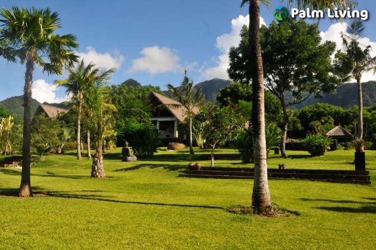 Charming Villa with Guest House for Sale in Pemuteran