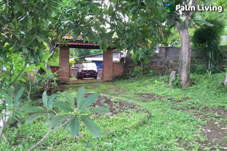 Kayuputih Land For Sale - Bali