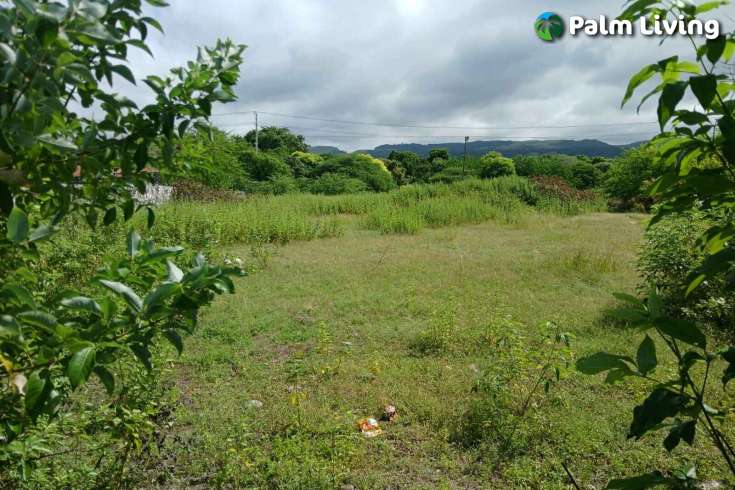 Two Vast Beachfront Plots for Sale in Londolima
