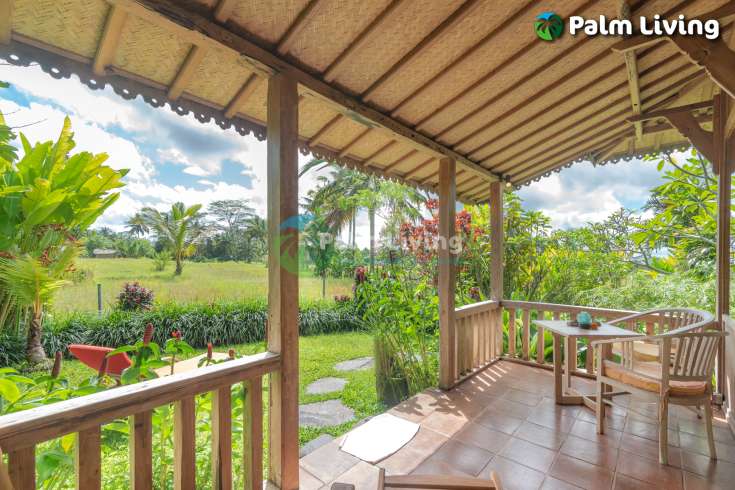 Guesthouse for Sale in Rice Fields