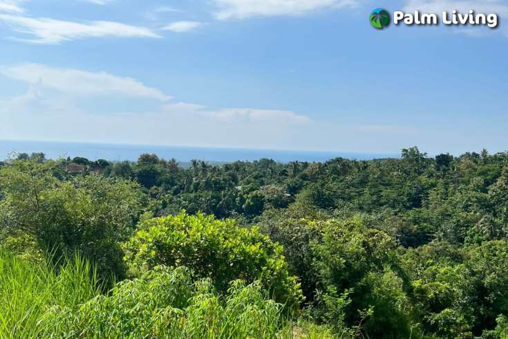 Hillside Land close to Central Lovina