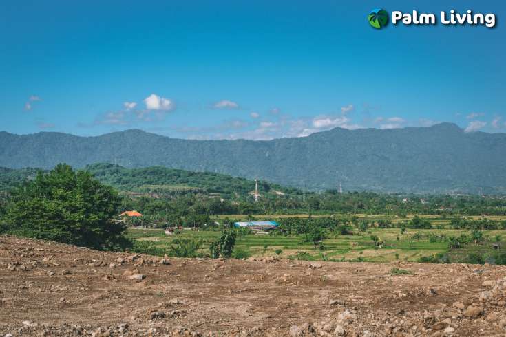 Hillside Land For Sale Bali