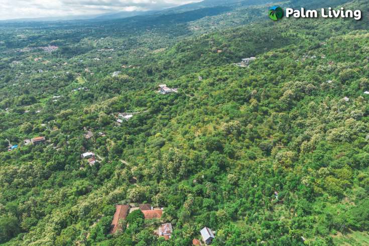 Elevated Big Plot in Kaliasem for Sale
