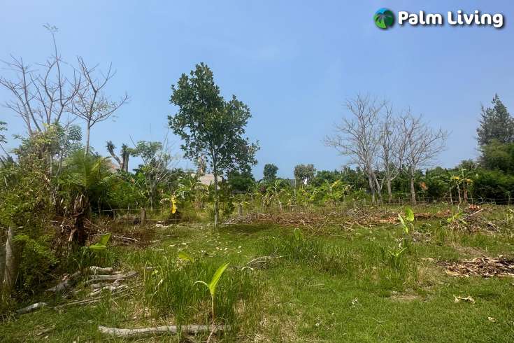 Dencarik Plot Close to The Beach