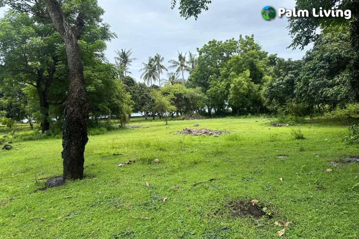 Prime Land for Sale - Development