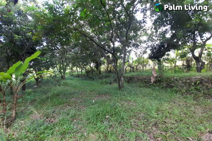 Land For Sale in Kayuputih