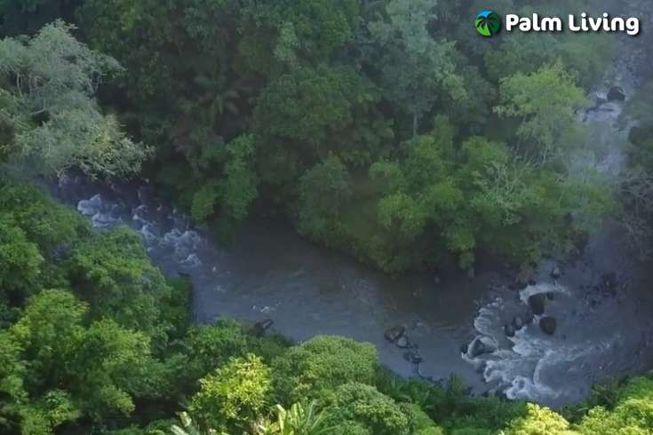 Riverside Villas for Sale in Penarungan