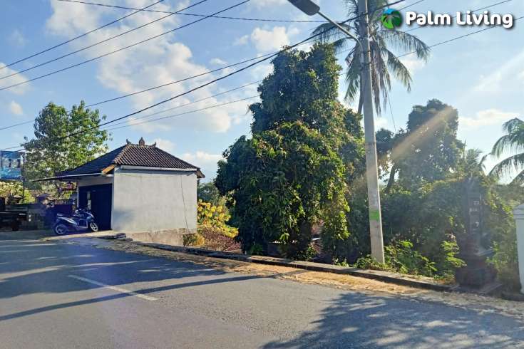 Land for Sale with Rice Field View