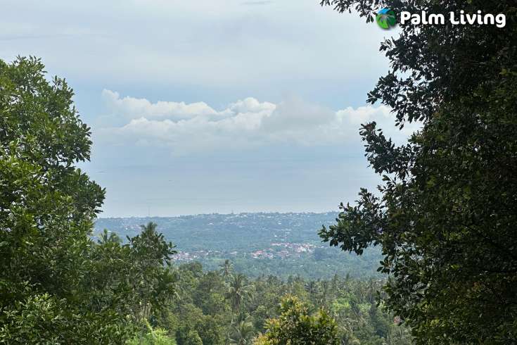 Land For Sale in Panji with Beautiful Sea View