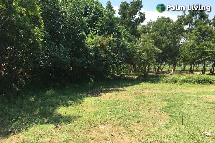 Beachfront Land for Sale in Singaraja