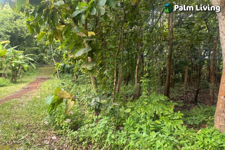 Simple & Affordable Land for Sale