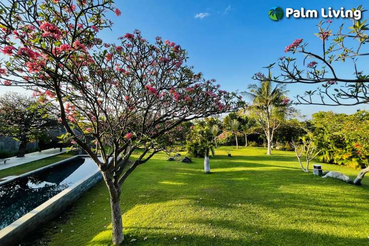 Villa or Yoga Retreat Estate in Pemuteran