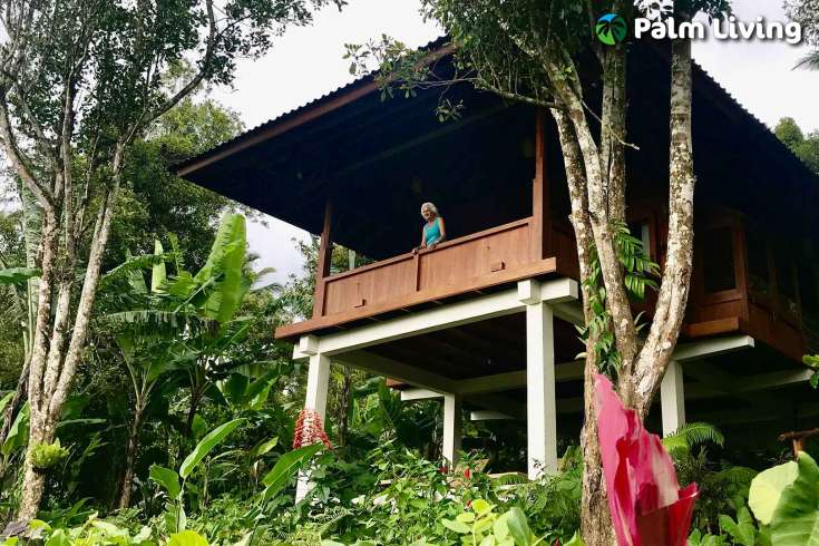 Tabanan mountain resort for sale
