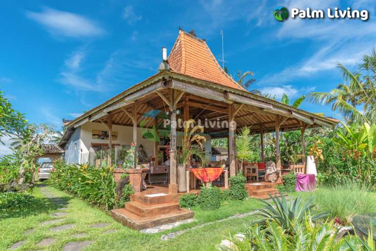 Guesthouse for Sale in Rice Fields