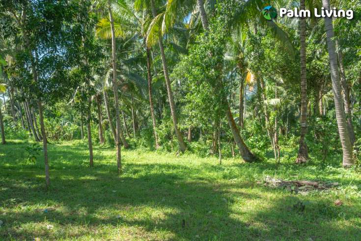 Beachfront Land for Sale in Tejakula