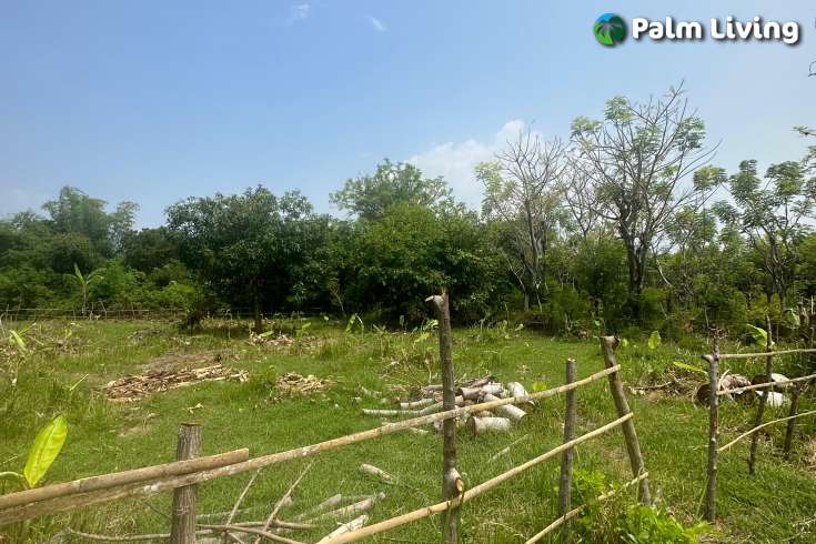 Dencarik Plot Close to The Beach