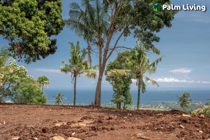 Land Plot Features Ocean View