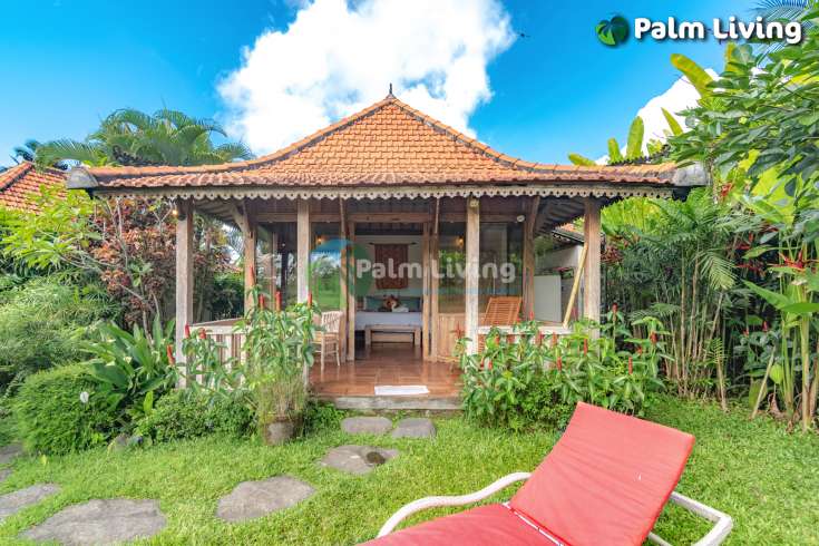 Guesthouse for Sale in Rice Fields
