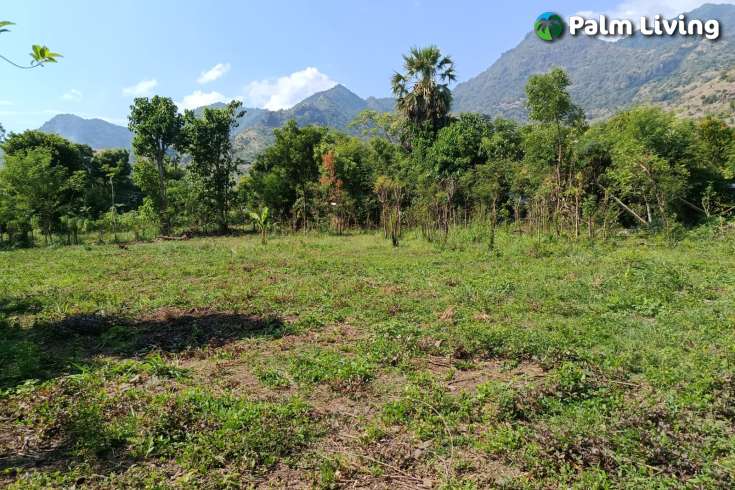 Freehold Land for sale in Pemuteran