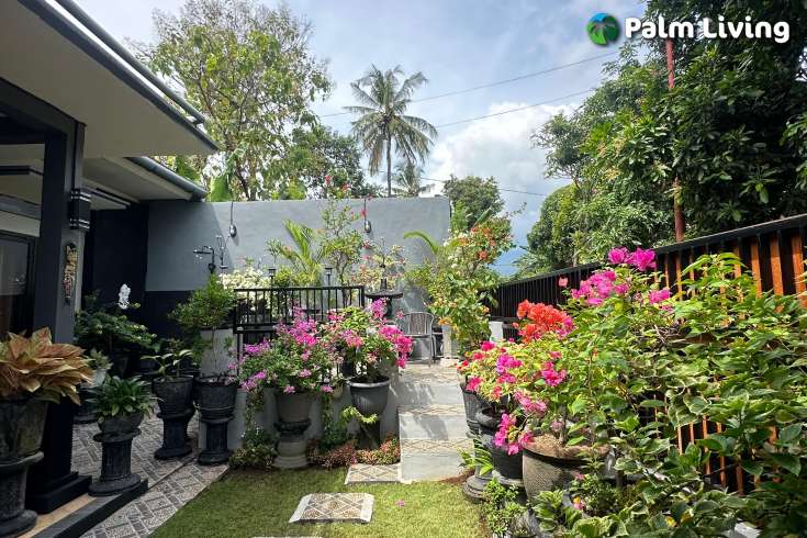 Charming 3 Bedrooms House nearby Lovina