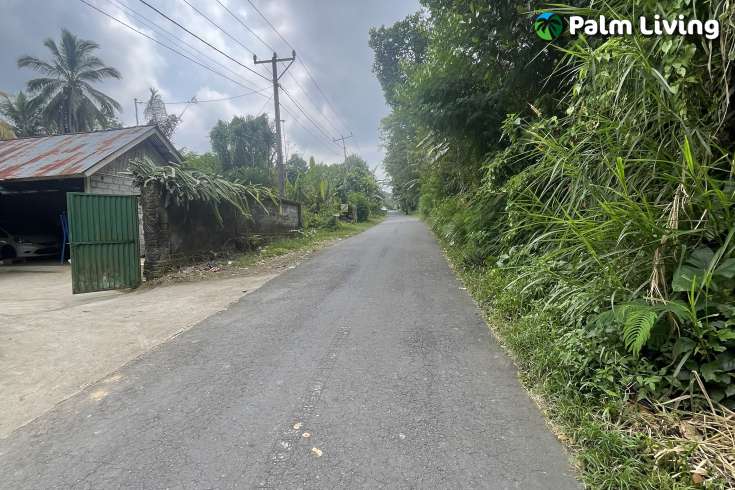 Tegallalang Land for Sale with Good View