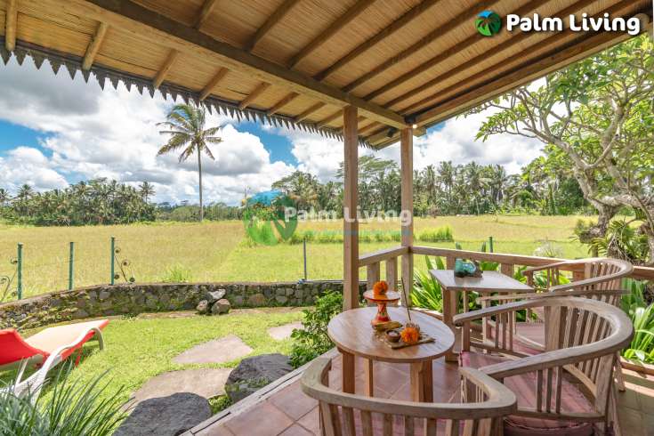 Guesthouse for Sale in Rice Fields