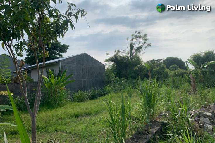 Ready to Build: A Plot Close to Lovina