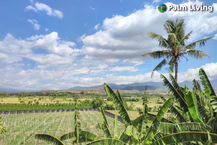 Land with great views in Umeanyar for Sale