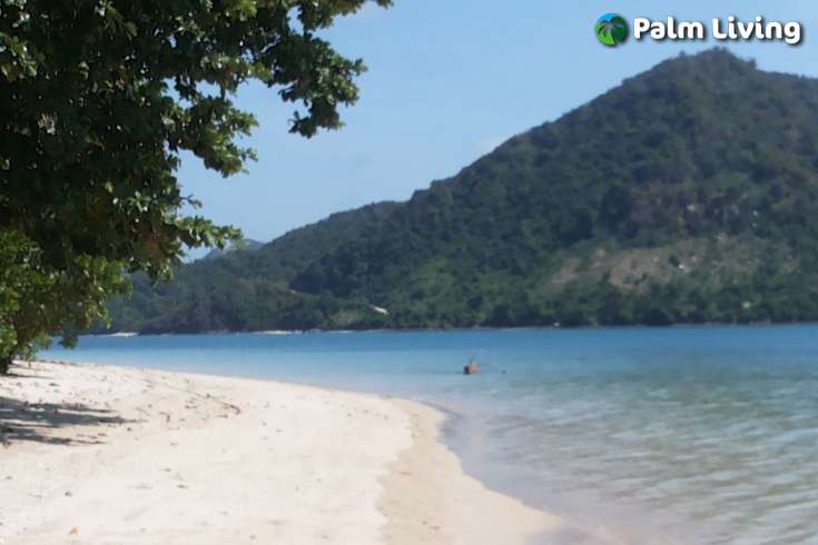 Beautiful Land in South Lombok for Sale