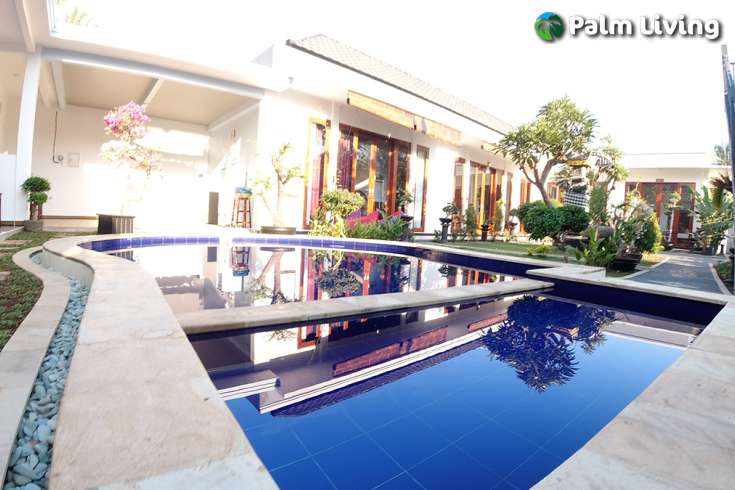 Guest House For Sale In Lovina