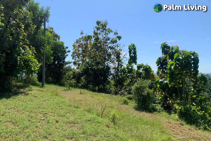 Sloping Land with Ocean & Jungle Views