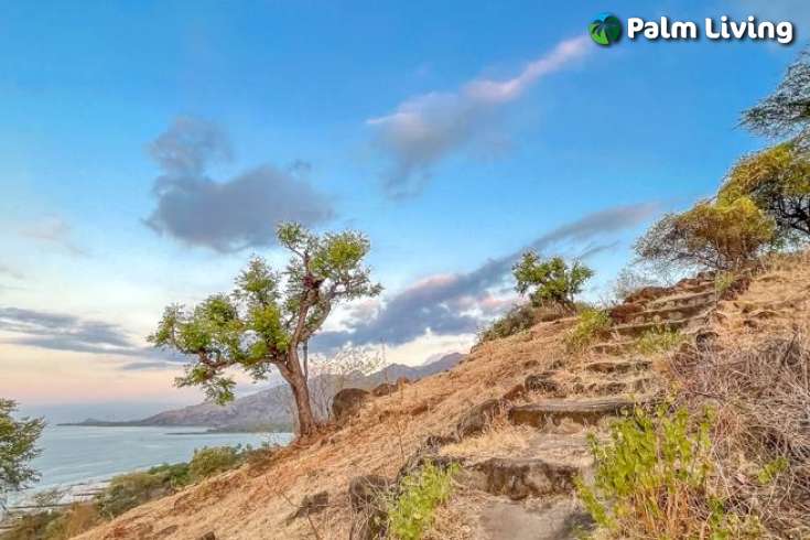 White Sandy Beachfront Land for Sale