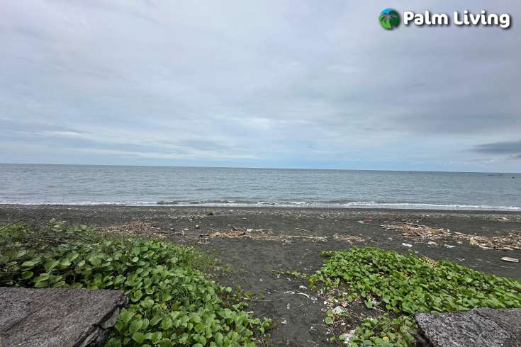 Large Plot of Land for Sale 1.6ha