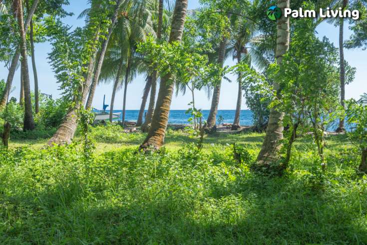 Beachfront Land for Sale in Tejakula