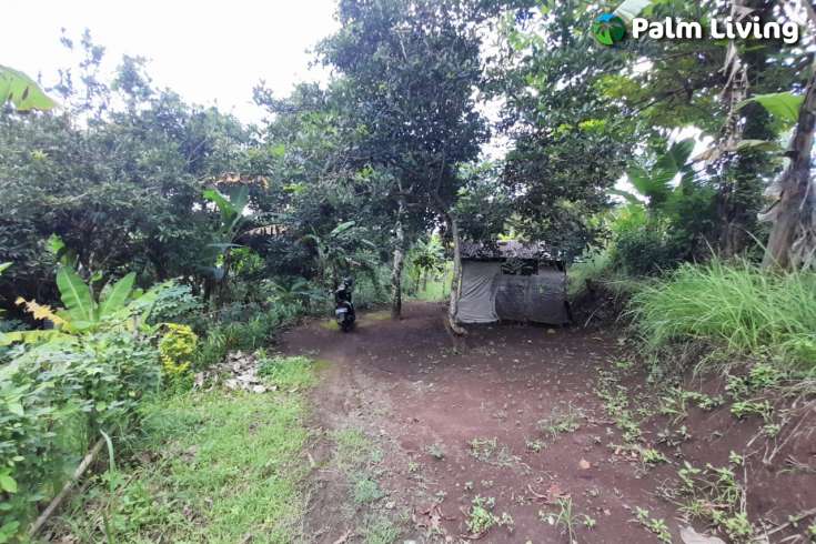 Land For Sale in Kayuputih