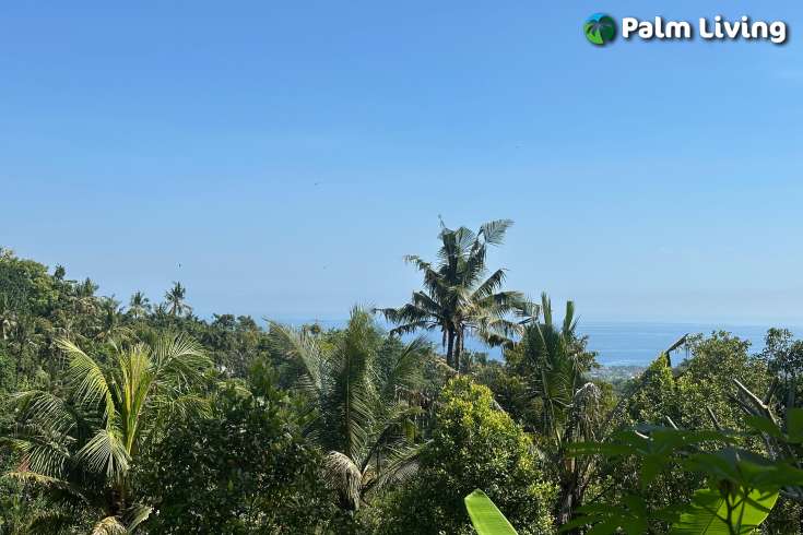 Hillside Plot in Kayuputih for Sale