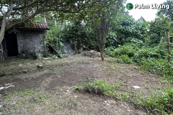 Small Plot of Land for Lease in Ubud