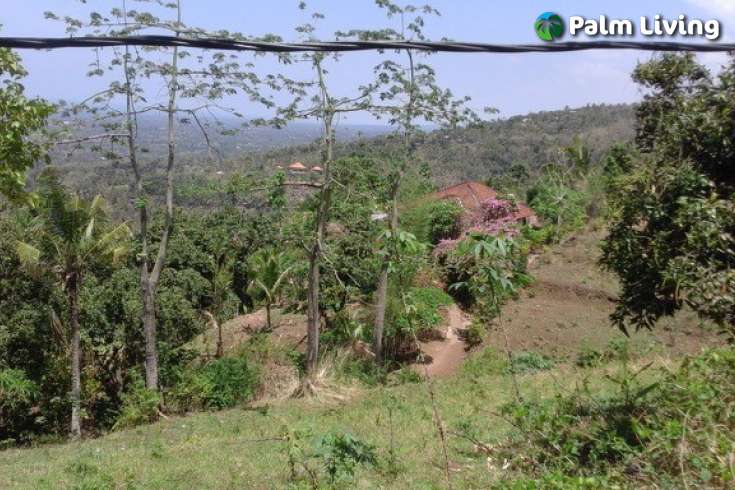 Land For Sale in Bali, Kayuputih