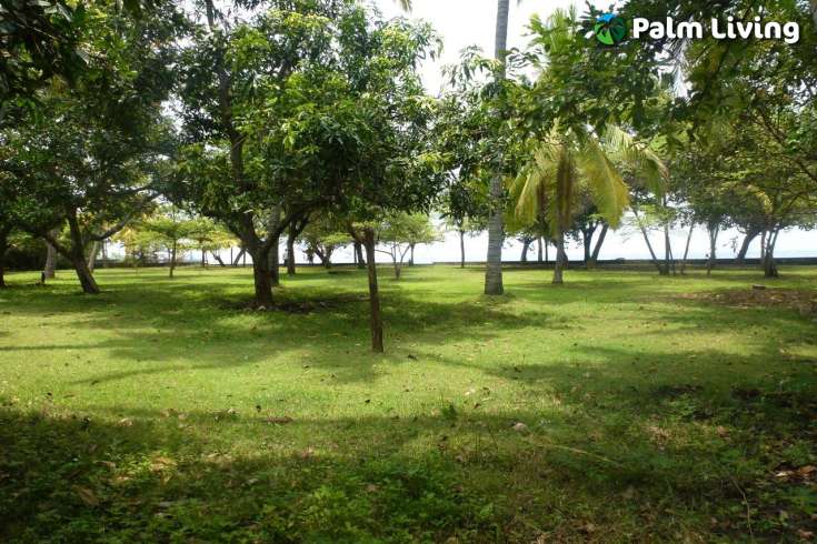 Prime Land for Sale - Development