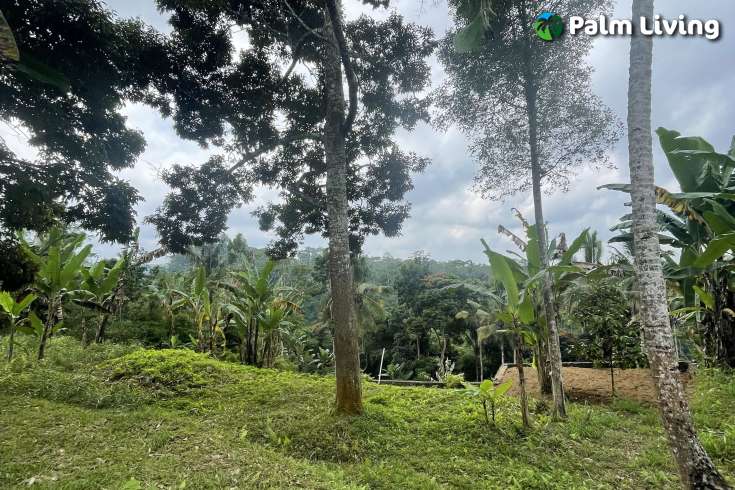 Tegallalang Land for Sale with Good View