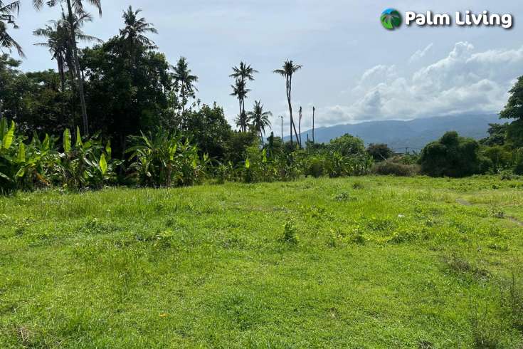 High Potential Commercial Plot for Sale