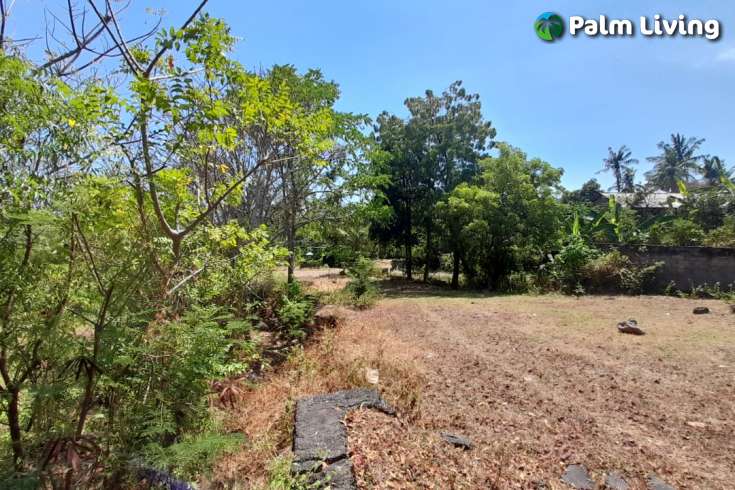 Unique land plot close to central Lovina