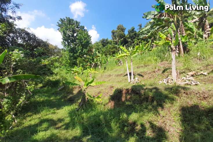 5490m2 of Land for Sale in Kayuputih