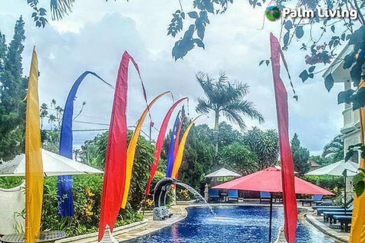 Luxury Boutique Hotel Sale Close Lovina Central