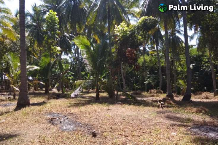 Beachfront Land In Lombok For Sale