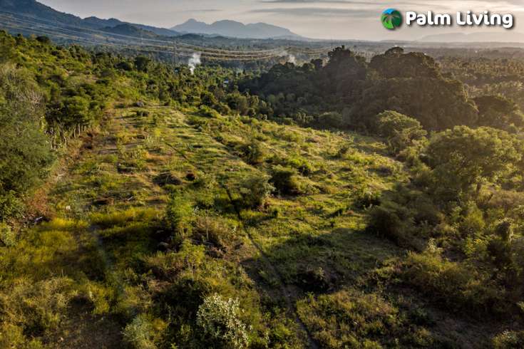 Stunning Land in Sumberkima Hill