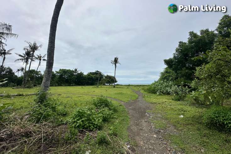 Large Plot of Land for Sale 1.6ha