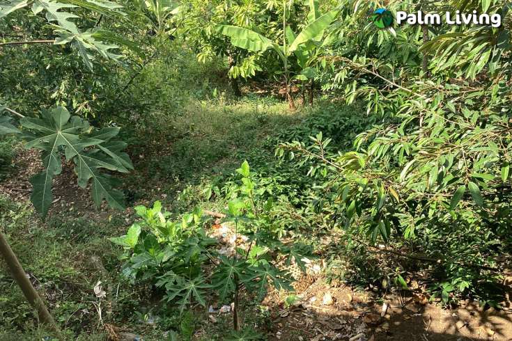Land for sale 1550 m2 with Ocean view