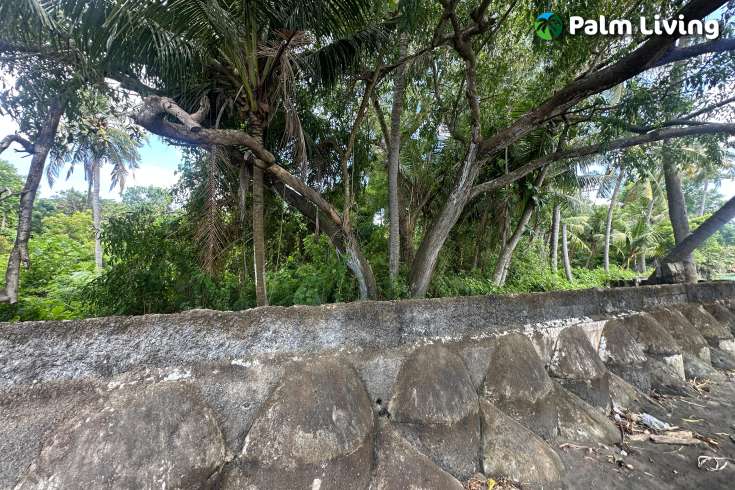 Rare Beachfront Land Close to Lovina