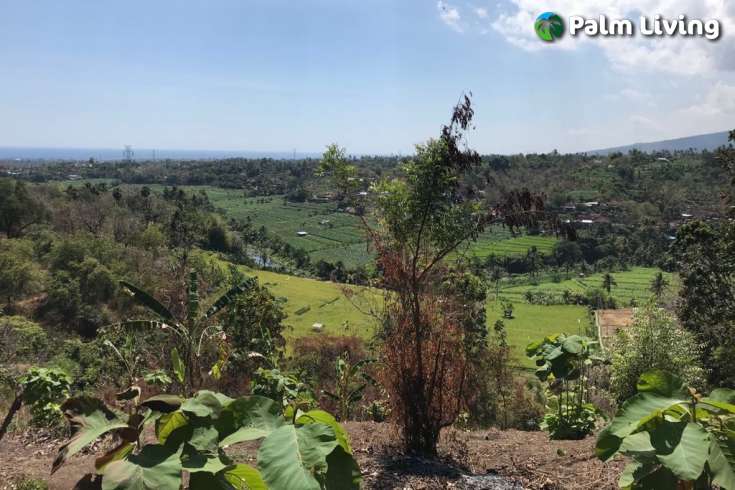 Hillside Land For Sale, North Bali